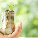 Large Cap Fund: